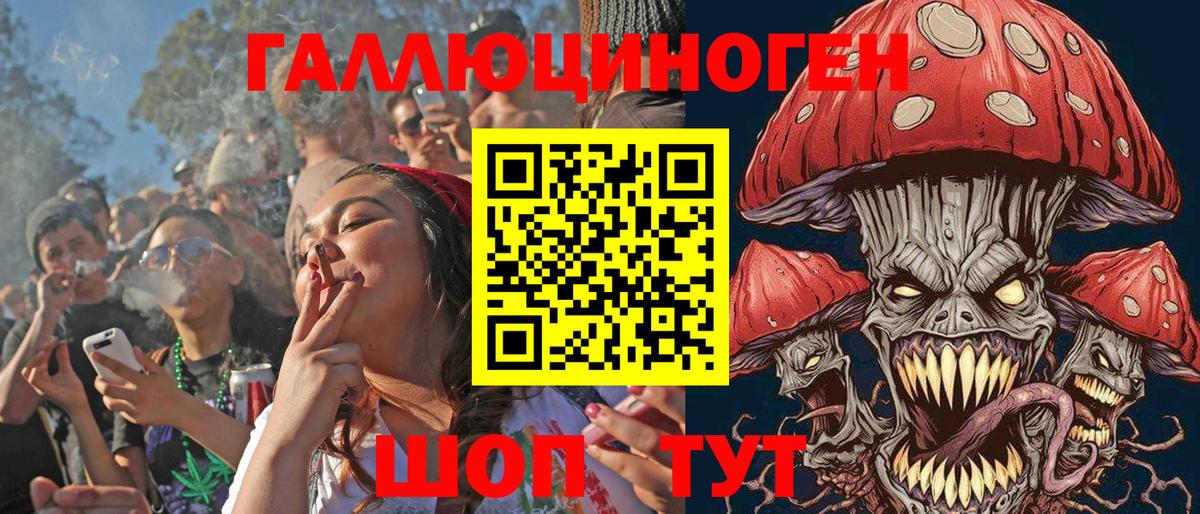 Псилоцибиновые грибы Psilocybe  Вход с VPN  Новокубанск 