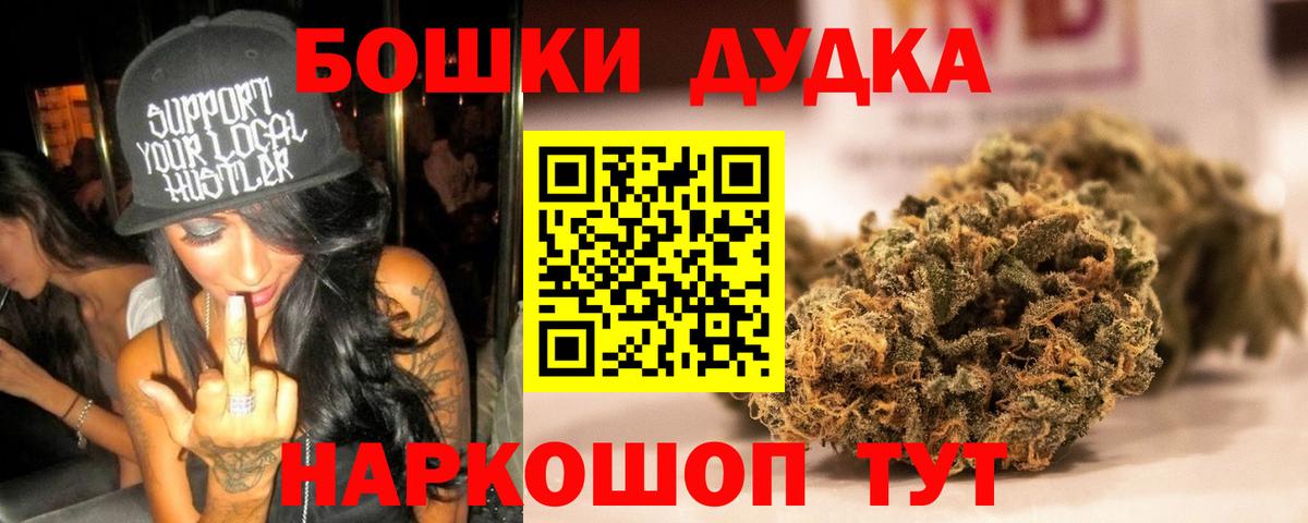 Конопля гибрид Новокубанск